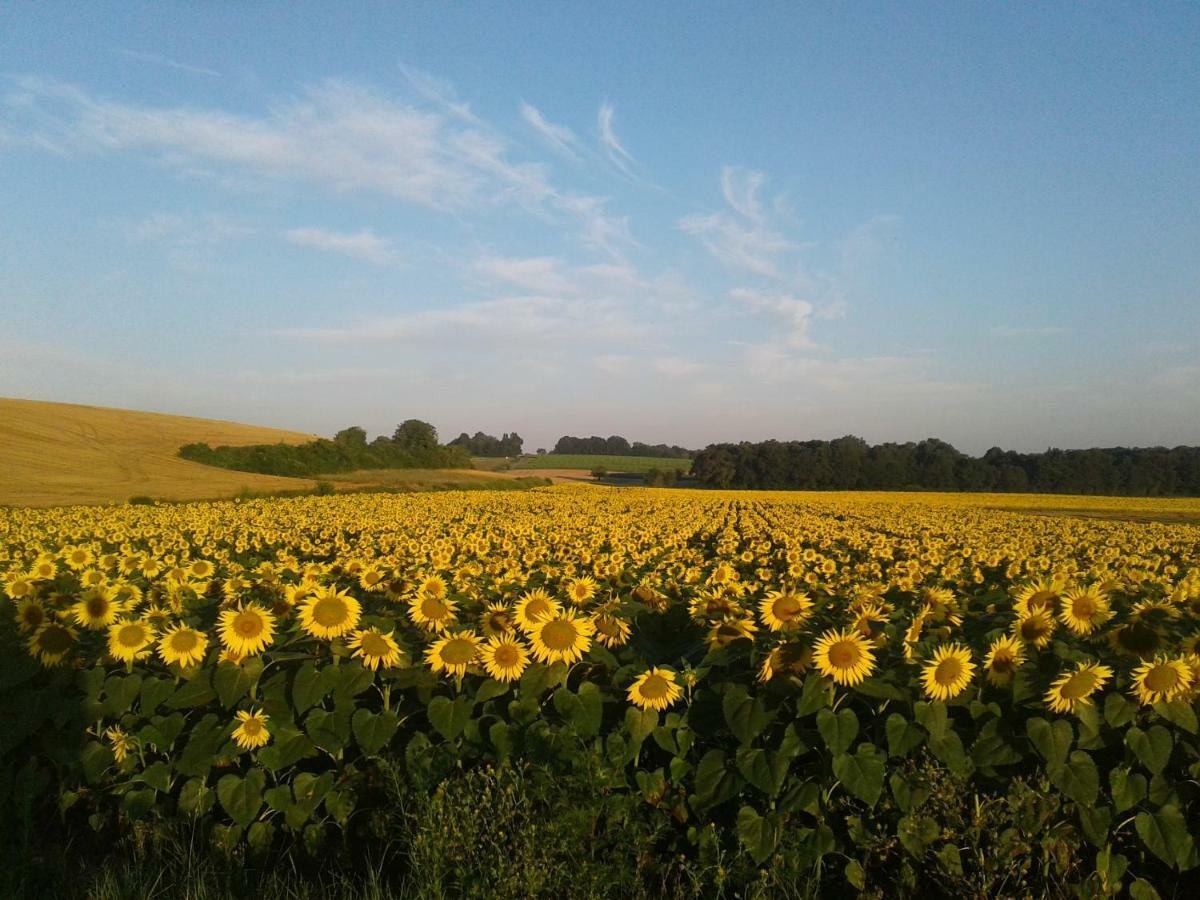 Willa Fleur Du Soleil Agudelle Zewnętrze zdjęcie